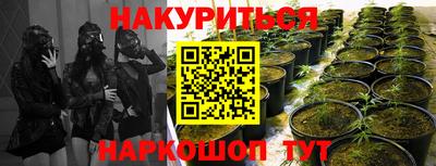 гашишное масло Камышлов